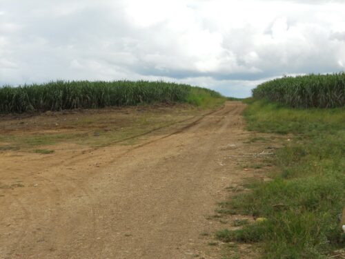 The road to Como Quiera