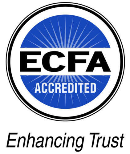 ECFA logo