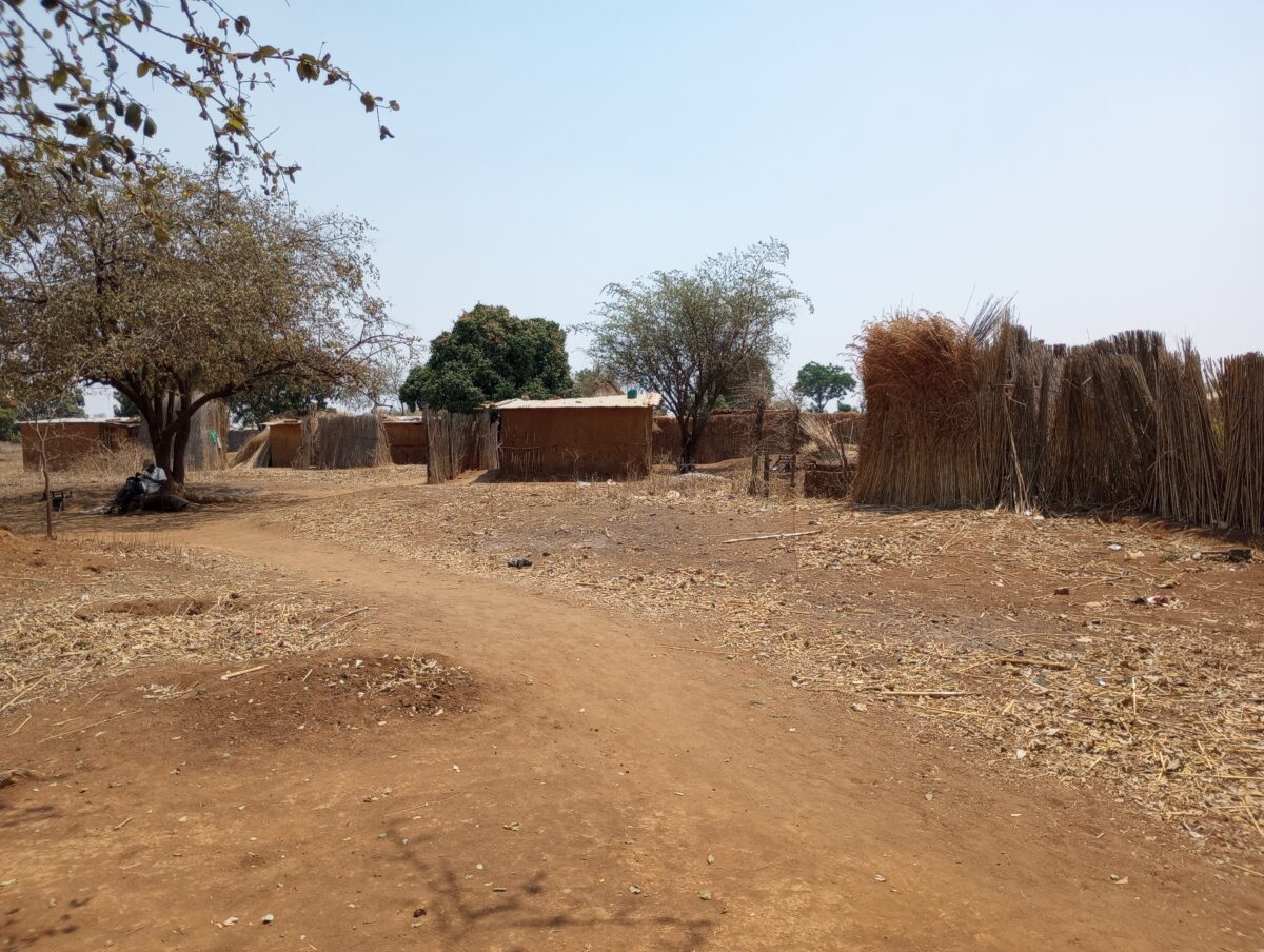 Chegutu